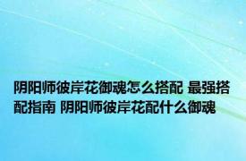 阴阳师彼岸花御魂怎么搭配 最强搭配指南 阴阳师彼岸花配什么御魂