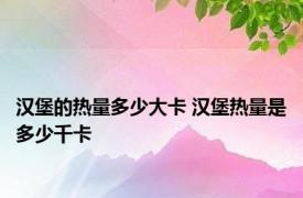 汉堡的热量多少大卡 汉堡热量是多少千卡