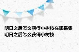 明日之后怎么获得小树枝在哪采集 明日之后怎么获得小树枝