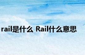 rail是什么 Rail什么意思