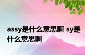 assy是什么意思啊 sy是什么意思啊