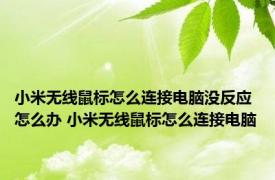 小米无线鼠标怎么连接电脑没反应怎么办 小米无线鼠标怎么连接电脑