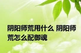 阴阳师荒用什么 阴阳师荒怎么配御魂