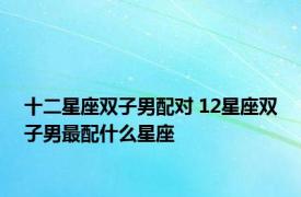 十二星座双子男配对 12星座双子男最配什么星座