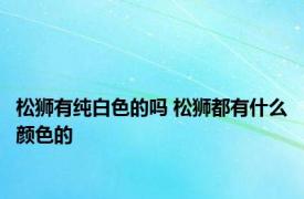 松狮有纯白色的吗 松狮都有什么颜色的