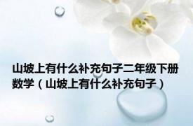 山坡上有什么补充句子二年级下册数学（山坡上有什么补充句子）