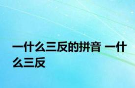 一什么三反的拼音 一什么三反