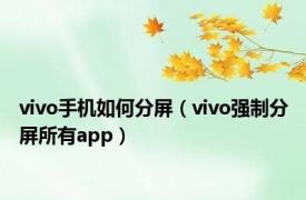 vivo手机如何分屏（vivo强制分屏所有app）