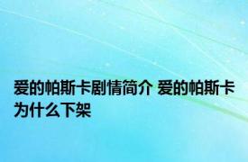 爱的帕斯卡剧情简介 爱的帕斯卡为什么下架