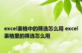 excel表格中的筛选怎么用 excel表格里的筛选怎么用