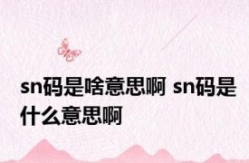 sn码是啥意思啊 sn码是什么意思啊