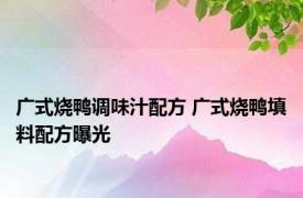 广式烧鸭调味汁配方 广式烧鸭填料配方曝光