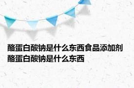 酪蛋白酸钠是什么东西食品添加剂 酪蛋白酸钠是什么东西