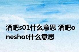 酒吧s01什么意思 酒吧oneshot什么意思