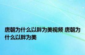 唐朝为什么以胖为美视频 唐朝为什么以胖为美