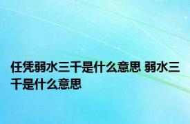 任凭弱水三千是什么意思 弱水三千是什么意思