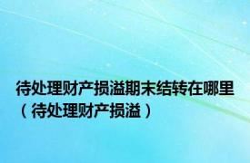 待处理财产损溢期末结转在哪里（待处理财产损溢）