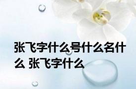 张飞字什么号什么名什么 张飞字什么