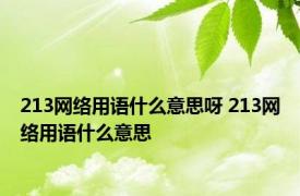 213网络用语什么意思呀 213网络用语什么意思