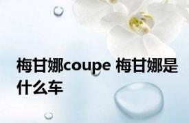 梅甘娜coupe 梅甘娜是什么车