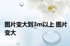 图片变大到3m以上 图片变大 