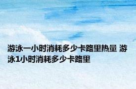 游泳一小时消耗多少卡路里热量 游泳1小时消耗多少卡路里