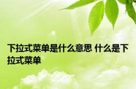 下拉式菜单是什么意思 什么是下拉式菜单