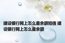 建设银行网上怎么查余额短信 建设银行网上怎么查余额