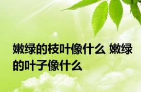 嫩绿的枝叶像什么 嫩绿的叶子像什么