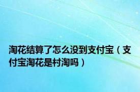 淘花结算了怎么没到支付宝（支付宝淘花是村淘吗）