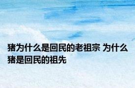 猪为什么是回民的老祖宗 为什么猪是回民的祖先