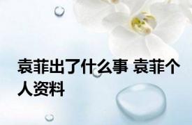 袁菲出了什么事 袁菲个人资料 