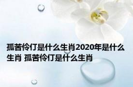 孤苦伶仃是什么生肖2020年是什么生肖 孤苦伶仃是什么生肖