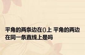 平角的两条边在()上 平角的两边在同一条直线上是吗