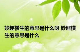 妙趣横生的意思是什么呀 妙趣横生的意思是什么