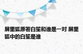 屏里狐原著白笙和谁是一对 屏里狐中的白笙是谁