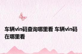 车辆vin码查询哪里看 车辆vin码在哪里看