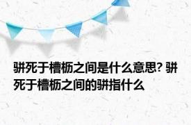 骈死于槽枥之间是什么意思? 骈死于槽枥之间的骈指什么