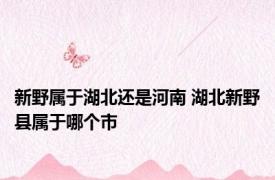 新野属于湖北还是河南 湖北新野县属于哪个市