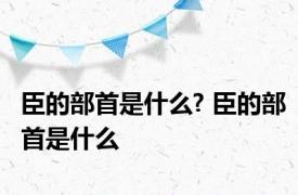 臣的部首是什么? 臣的部首是什么 