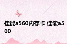 佳能a560内存卡 佳能a560 