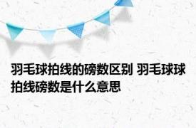 羽毛球拍线的磅数区别 羽毛球球拍线磅数是什么意思