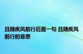 且随疾风前行后面一句 且随疾风前行的意思