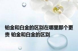 铂金和白金的区别在哪里那个更贵 铂金和白金的区别