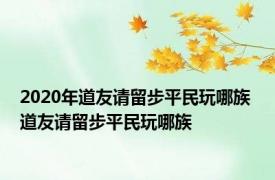 2020年道友请留步平民玩哪族 道友请留步平民玩哪族