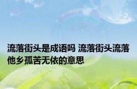 流落街头是成语吗 流落街头流落他乡孤苦无依的意思