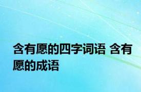 含有愿的四字词语 含有愿的成语