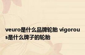 veuro是什么品牌轮胎 vigorous是什么牌子的轮胎