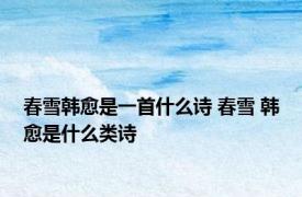 春雪韩愈是一首什么诗 春雪 韩愈是什么类诗