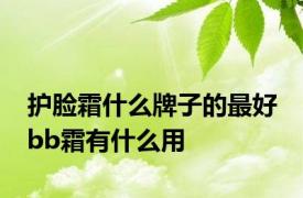 护脸霜什么牌子的最好 bb霜有什么用